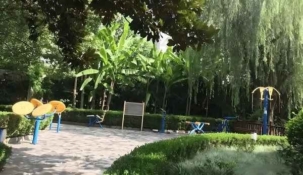 要在深圳入户口有什么条件_退休干部驾车撞学生泄私愤致1死11伤今被执死刑 退休干部驾不便交通