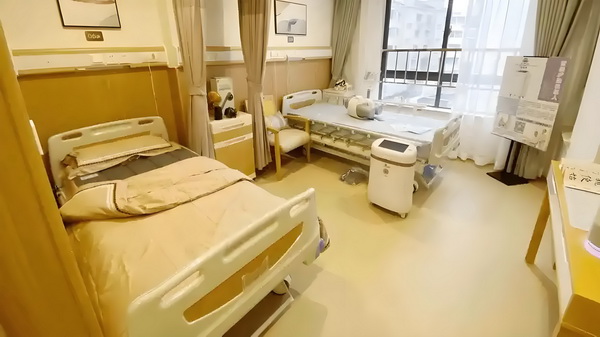 深圳市应届毕业生落户条件_于佩尔：热爱永远不会消失 某重子张举报婚其妻